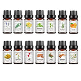 14 Piece Cross border Unilateral Essential Oil Set Box Unisex 14 Pack Body Set 10ml