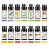 14 Piece Cross border Unilateral Essential Oil Set Box Unisex 14 Pack Body Set 10ml